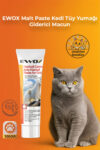 EWOX Malt Paste Kedi Tüy Yumağı Giderici Macun 100 gr | Sindirim Destekli Vitaminli Ek Gıda