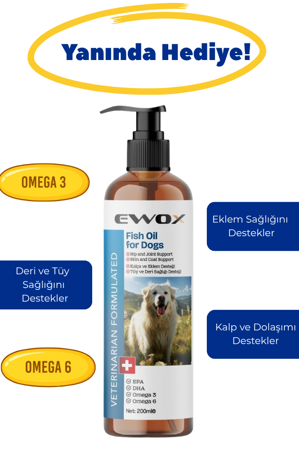 köpek-balik-yagi-hediye